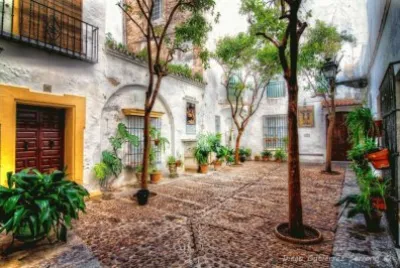 plaza alianza jigsaw puzzle