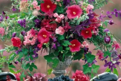 fleurs