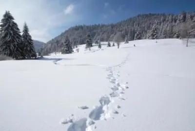 neige
