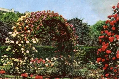 Jardins