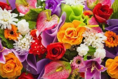 fleurs jigsaw puzzle