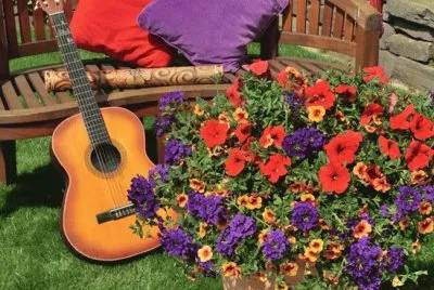 Purple and Red Confetti Garden