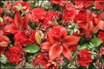 ramos de flores virgen