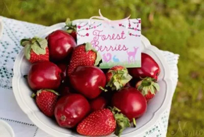 Vibrant Red Forest  Berries