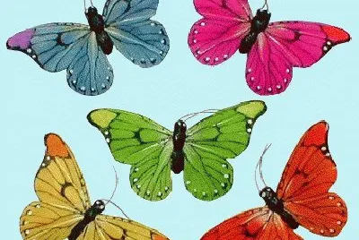 Borboletas