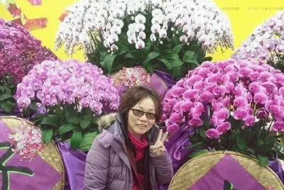 orquidea