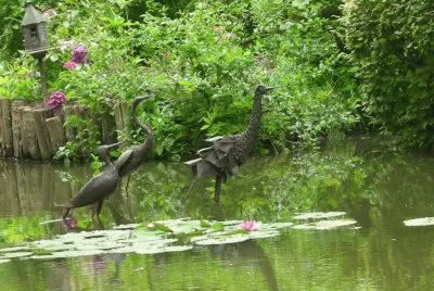 Jardin du  "Petit Bordeaux " (72)