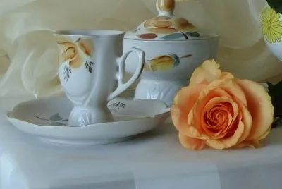 Rosa