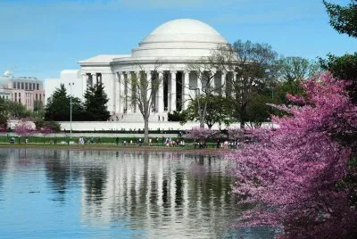 white house