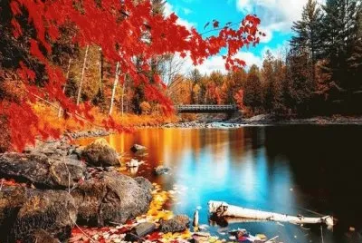 autumn 50 jigsaw puzzle