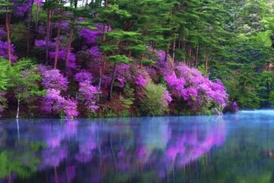 lac jigsaw puzzle