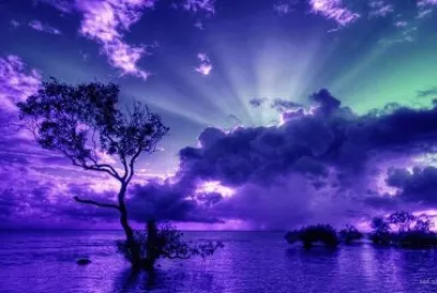 nuit jigsaw puzzle