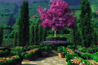 campagne jigsaw puzzle