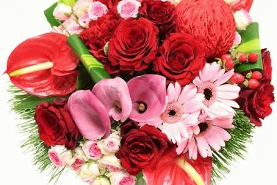 fleurs jigsaw puzzle