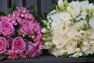 fleurs jigsaw puzzle