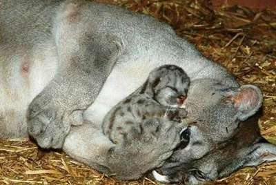 mom #148