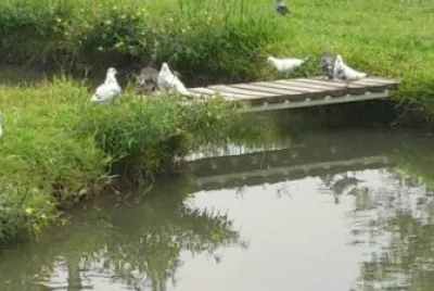 å¿ƒç”°èŠ±åœ’