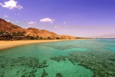 mare di eilat jigsaw puzzle