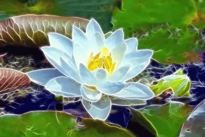 Fractal Water lily