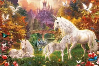 cavalos