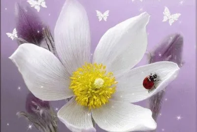 flor jigsaw puzzle