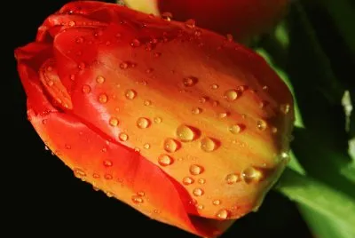 b jigsaw puzzle
