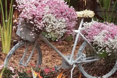 Pink and White Garden Bicycle