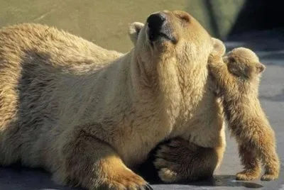 ours