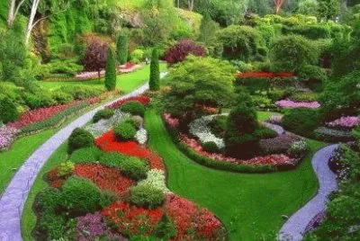 ÃRBOLES EN EL JARDÃN.