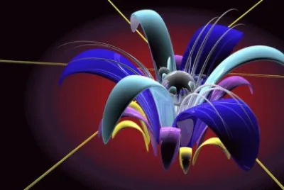 Flower Petals