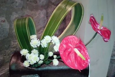 Flors
