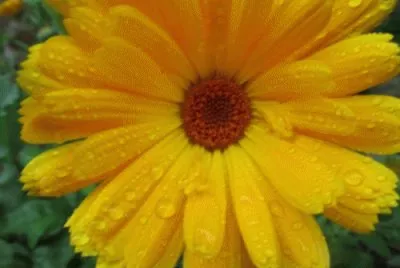 june20 jigsaw puzzle