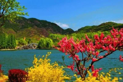 Vivid Colors jigsaw puzzle