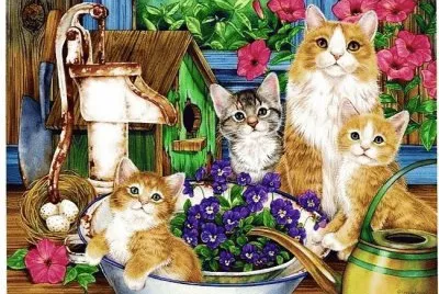 gatinhos