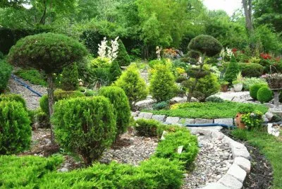 VERDE, QUE TE QUIERO VERDE.