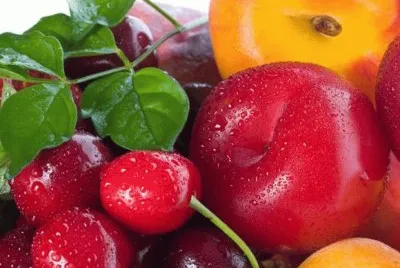Fruites