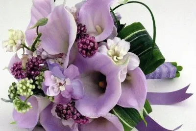 fleurs jigsaw puzzle
