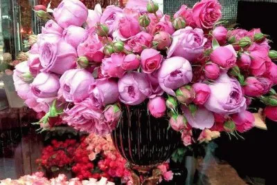 fleurs jigsaw puzzle
