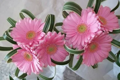 fleurs