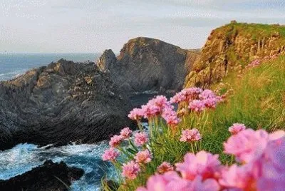 Beautiful Place jigsaw puzzle