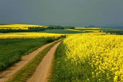 Denmark jigsaw puzzle