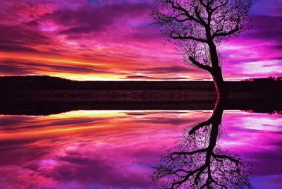 Purple Color jigsaw puzzle