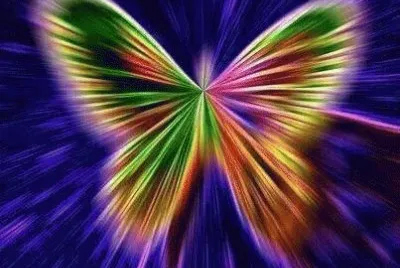 Butterfly jigsaw puzzle