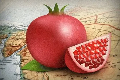 Pomegranate jigsaw puzzle