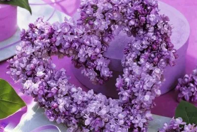 fleurs
