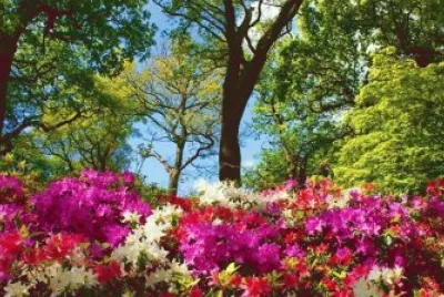 natureza