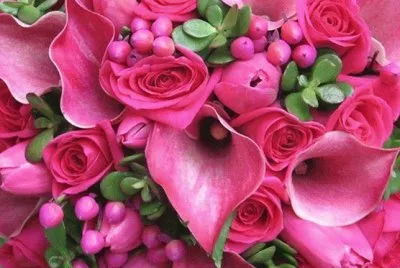 fleurs jigsaw puzzle