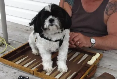 Isn 't that enough backgammon for now