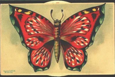 General