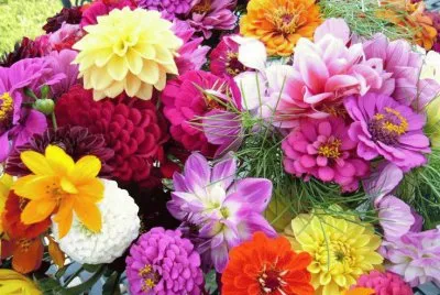 Flower Garden jigsaw puzzle